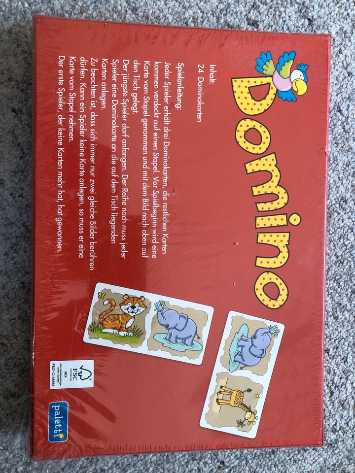 Domino/ Spiele/ Kinderspiel in Dresden