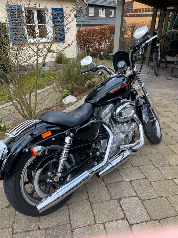 Harley Davidson Sportster 883 XL SuperLow in Arnsberg