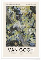 JUNIQE Poster | Van Gogh - Blossoming Acacia Branches | 40×60 cm Eimsbüttel - Hamburg Eimsbüttel (Stadtteil) Vorschau