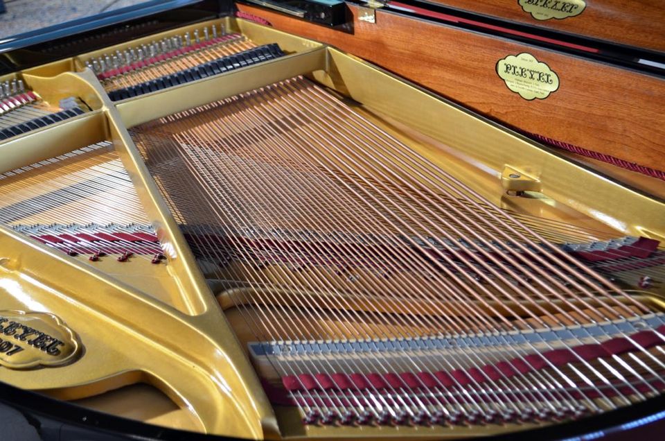 Schimmel Flügel Modell Pleyel Modell 175 in Michelau i. OFr.