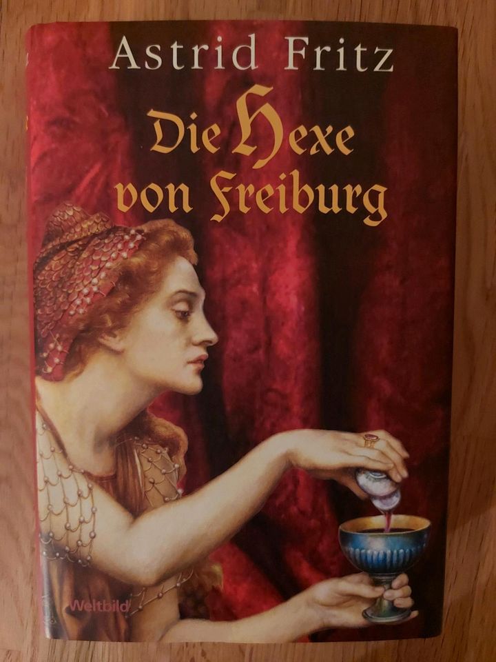 A. Fritz: Die Hexe von Freiburg (Historischer Roman, Hardcover) in Freiburg im Breisgau