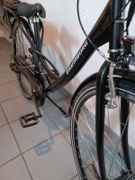 E-Bike, Pedelec Nordrhein-Westfalen - Eslohe Vorschau