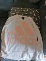 Ein pullover Sachsen - Roßwein Vorschau