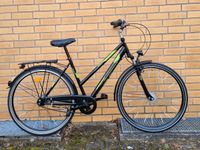 Neuwertig Pegasus Ancona Damenfahrrad 28Zoll Niedersachsen - Bad Bevensen Vorschau