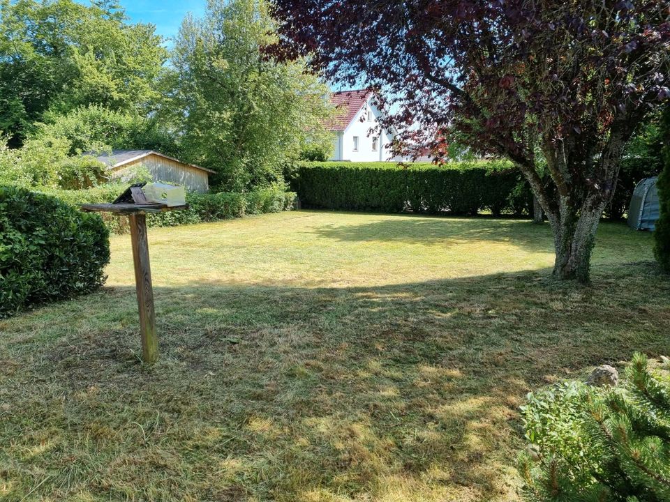 Wir bieten Dienstleistungen rund ums Haus und Garten an in Baden