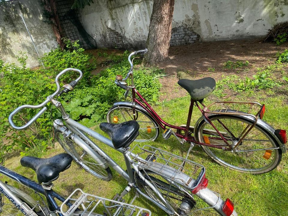 jedes Fahrrad nur 10€!!!! in Krefeld