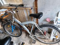 Fahrrad Mountainbike mit Körbchen Thüringen - Dachwig Vorschau