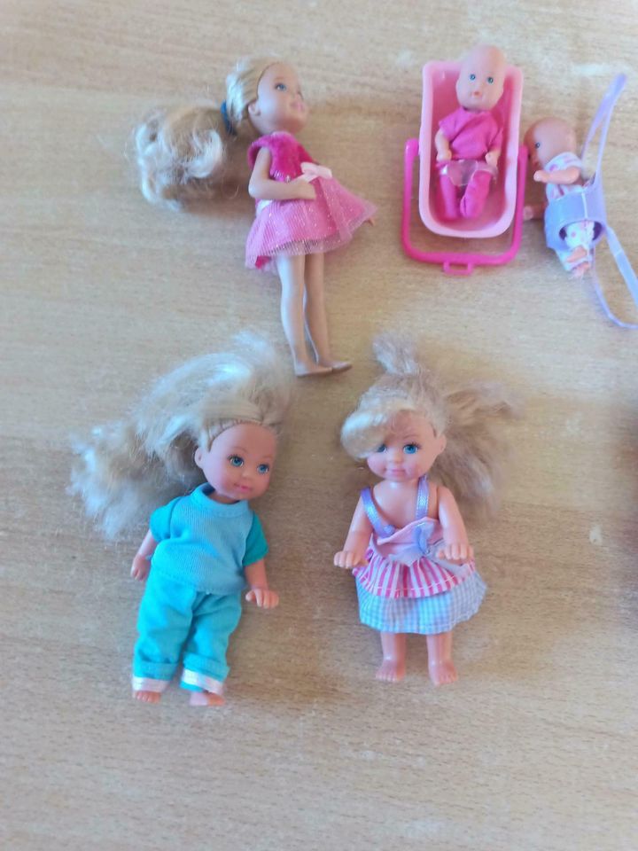 Barbie kleine Puppen in Tholey