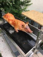 Vorgebackenes Spanferkel ca.20Kg dazu gern Spanferkelgrill mieten Thüringen - Neudietendorf Vorschau