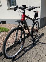 Rad Highbike Nordrhein-Westfalen - Willebadessen Vorschau