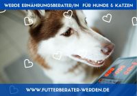 ✅ Lukrativer Nebenjob als Futterberater*in für Hunde & Katzen Baden-Württemberg - Bruchsal Vorschau