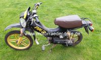 Honda PX-R, PX 50 Niedersachsen - Pattensen Vorschau