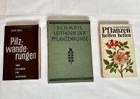 3 alte Bücher - Pflanzenkunde / Pflanzen heilen / Buch Pilzkunde Sachsen-Anhalt - Magdeburg Vorschau
