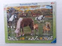 Ravensburger Pferde Puzzle 35 Teile Bayern - Litzendorf Vorschau