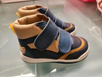 Steiff Sneaker Schuhe 23 blau super Zustand Niedersachsen - Wirdum Vorschau