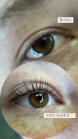 Wimpernlifting Browlifting inkl. Farbe+Vitamine Boost Bayern - Augsburg Vorschau