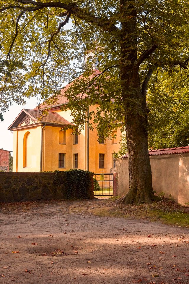 Wohnen mit Wowfaktor - Raum pur mitten im Grünen - frisch saniert nahe Scharmützelsee in Tauche