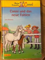 Conni und - das neue Fohlen Münster (Westfalen) - Gelmer Vorschau