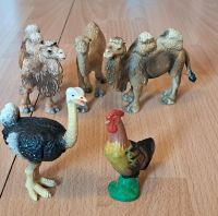 Schleich Tiere Sammlung/ Kamelen& Straß Düsseldorf - Rath Vorschau