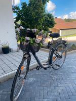 Fahrrad, Damenrad Bayern - Pilsach Vorschau