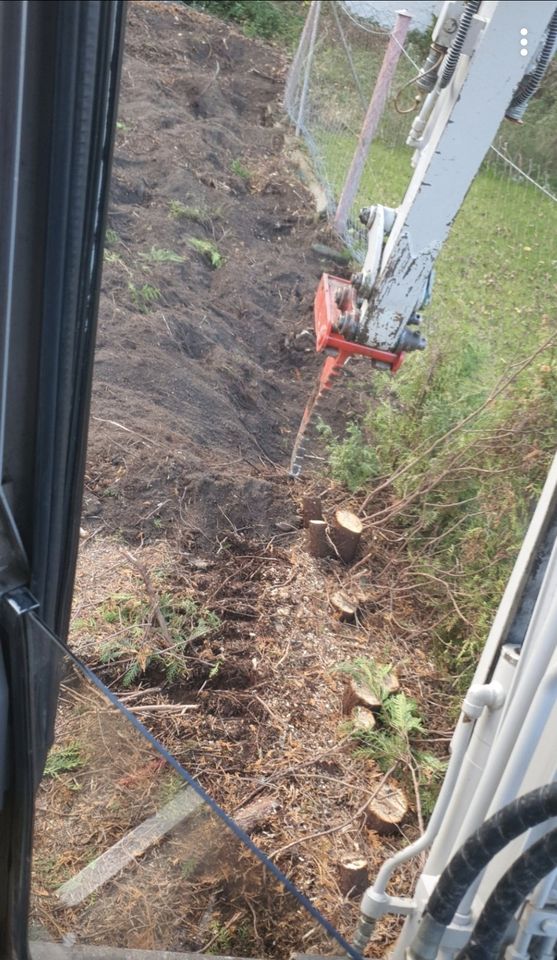 ❗Baumfällung,Hecke/Problembaum fällen / entfernen, Heckenschnitt in Bruckberg bei Landshut