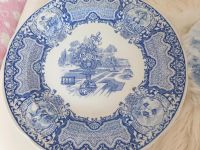 The Spode blue room Collection Nordrhein-Westfalen - Werne Vorschau