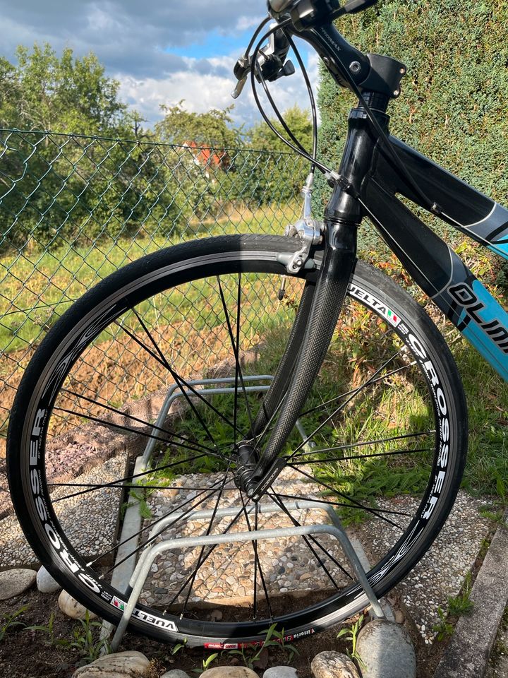 Olimpia Arrow Damen Rennrad (seltene Version) in Heroldsberg