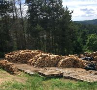 Brennholz / Kaminholz Thüringen - Saalfeld (Saale) Vorschau