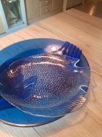 2 Glasschalen, eine blaue,  eine in Fischform Nordrhein-Westfalen - Mechernich Vorschau