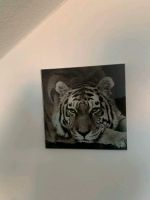 Tigerbild 30x30 Bayern - Germaringen Vorschau