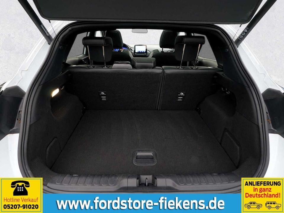 Ford Puma Puma ST X/B&O+NAVI+LED+DAB+CAM+KEYFREE in Schloß Holte-Stukenbrock