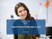 Digital Marketing Manager m/w/d | Goslar Niedersachsen - Goslar Vorschau