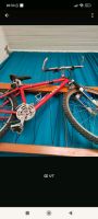 Trek Mountainbike 6500 SHX Alurahmen 16,5" Shimano Niedersachsen - Wilhelmshaven Vorschau