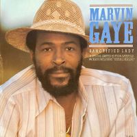 Doppel-Single Vinyl: Marvin Gaye - Sanctified Lady (inkl. Vers.) Hessen - Oberursel (Taunus) Vorschau