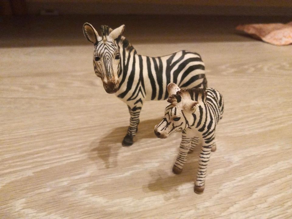 Schleich Zebra Mutter und Kind in Heidelberg