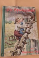 Altes Kinderbuch die Speicherinsel Waldemar Dehll Bayern - Johanniskirchen Vorschau