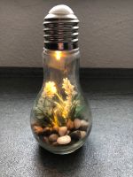 Dekopflanze im Glas mit Beleuchtung Baden-Württemberg - Deißlingen Vorschau