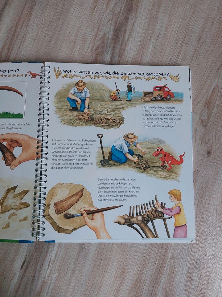 Kinderbuch Wieso Weshalb Warum? Alles über Dinosaurier in Senden