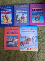 Pferdebücher 8-10 Jahre Lektüre für die Sommerferien Niedersachsen - Lehrte Vorschau
