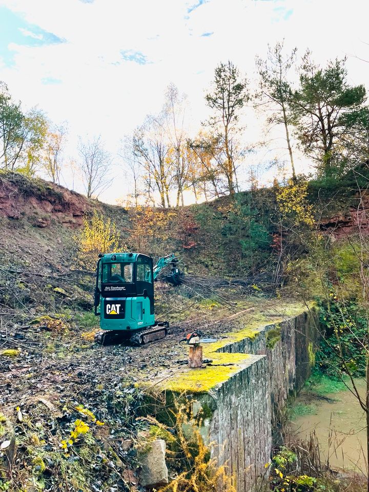 Gartenpflege Landschaftsbau Baggerarbeiten Baumfällung Naturstein in Hardheim