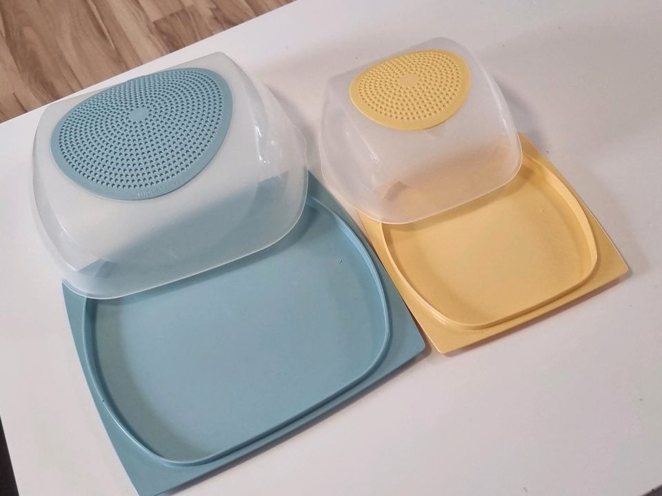 Tupperware Käsemax Set in Stein-Neukirch