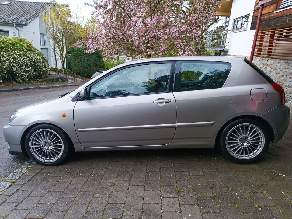 Toyota Corolla e12 TS in Gechingen