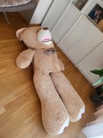 Riesen Teddybär Baden-Württemberg - Leutkirch im Allgäu Vorschau
