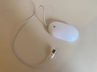Apple Mighty Maus USB Maus für MAC Berlin - Tempelhof Vorschau