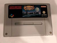 SNES Harvest Moon & Super Mario World Nordrhein-Westfalen - Remscheid Vorschau