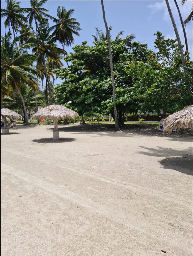 Haus nur Schritte zum Strand in  Samana dominikanische Republik in Albstadt