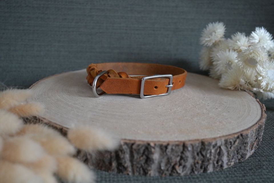 Lederhalsband geflochten - Halsband Hund Leder - 2cm in Güntersleben