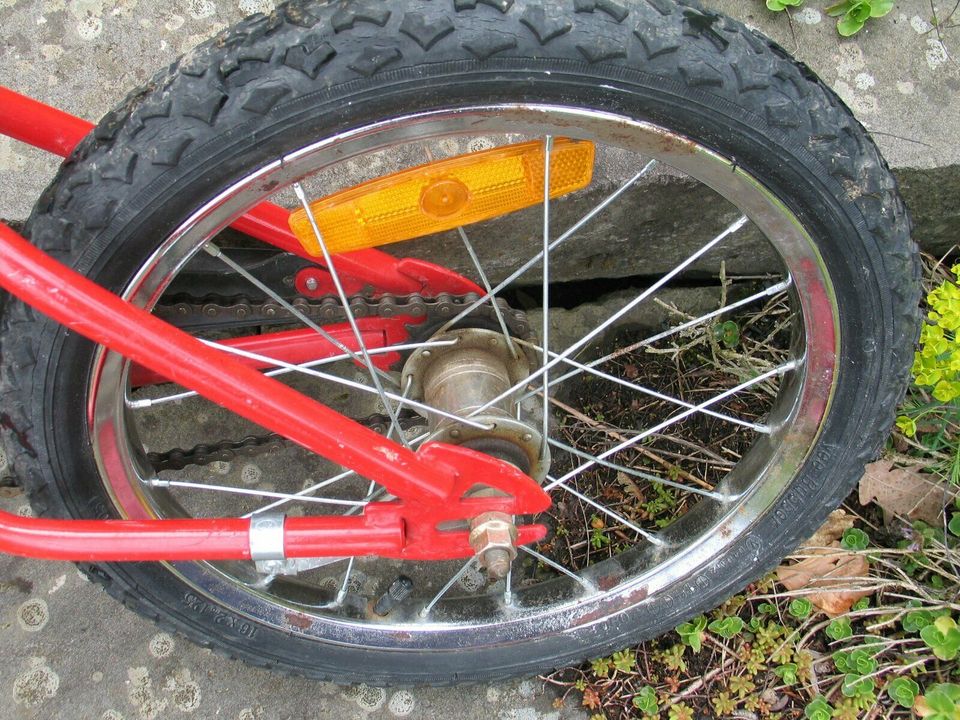 LETZTE CHANCE!Kinderfahrrad Mountainbike  20' Mädchen / Junge rot in Waldbreitbach