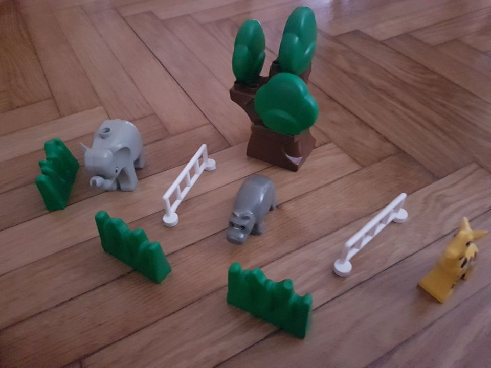 Lego Duplo Kleiner Zoo in Ruhland