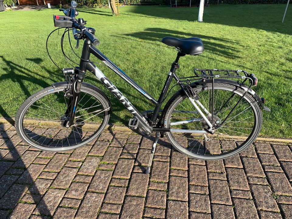 Fahrrad Damen in Bielefeld